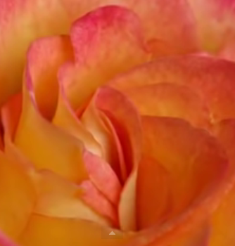 Screen shot 2015-06-30 at 5.14.31 PM