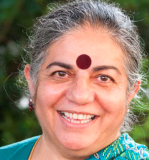 Screen Shot 2020-07-27 at 7.42.22 PM